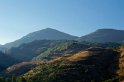 Coppola di Paola